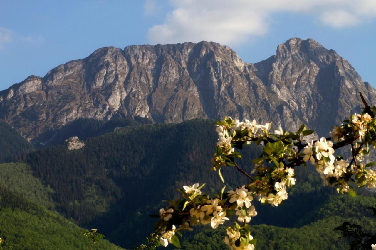 Willa Danuska Poronin Buitenkant foto